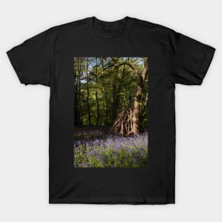 Hidden bluebell wood T-Shirt